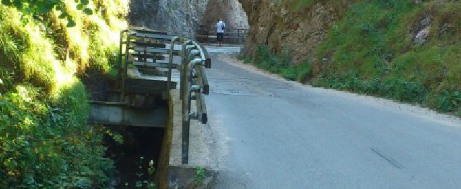 שמורת מאנינסקה טיאסנבה מתוך הטיפ של bargeva12 - למטייל