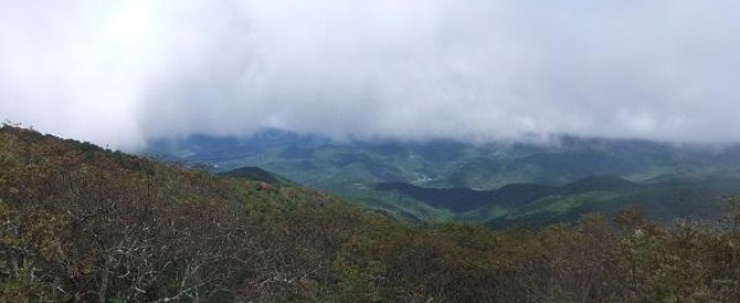 תמונה מייצגת עבור הפוסט: 3. דיסני