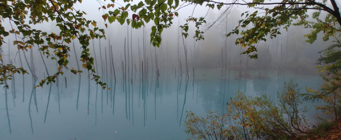 ן Shirogane Blue Pond מתוך הטיפ של פרוידי - למטייל