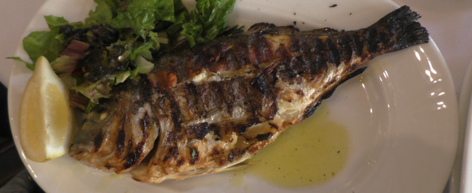דיה טאוטה מתוך הטיפ של ליאור כ - למטייל