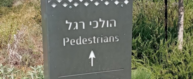 עין קשתות מתוך הטיפ של קליינר - למטייל