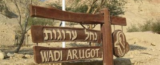 תמונה מייצגת עבור הפוסט: טיול חורף לנחל ערוגות