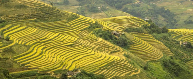טאי מו מתוך הטיפ של Just_A_Girl - למטייל