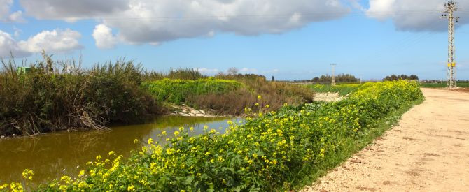 האזהרה של משרד הבריאות על החוף והנחל הפופולריים