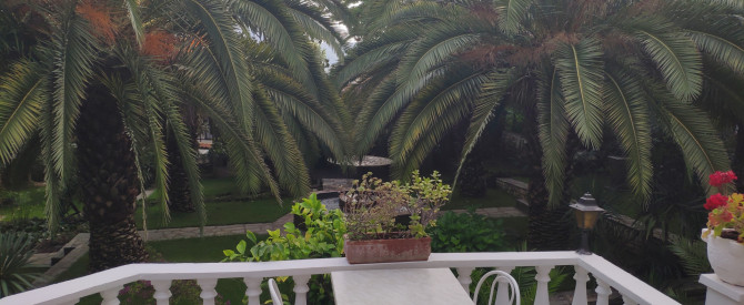 Miramare Hotel מתוך הטיפ של hfk - למטייל