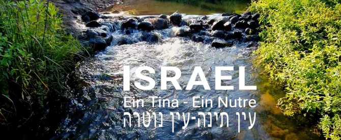 תמונה מייצגת עבור הפוסט: עין תינה- עין נוטרה