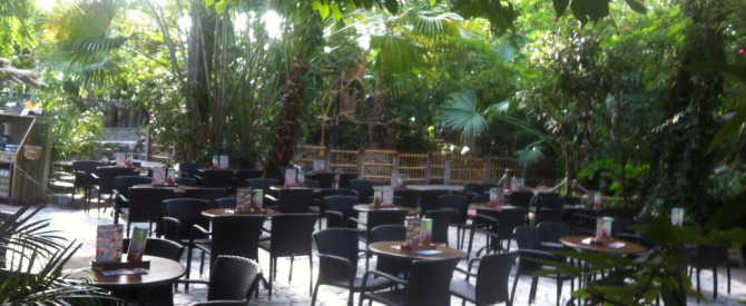 כפר הנופש סנטר פארקס דה קמפרוואנן מתוך הטיפ של amirbuga - למטייל