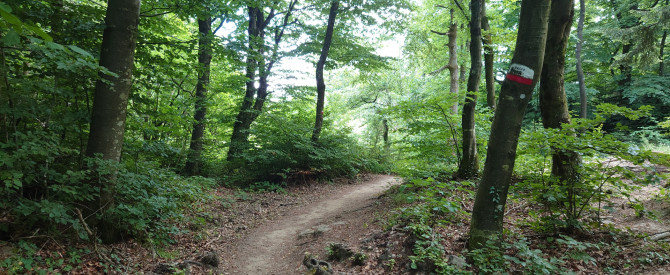 שביל ויה דגלי די  Via Degli Dei trail מבולוניה לפירנצה מתוך הטיפ של ronce - למטייל