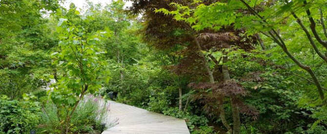 Kitagawa village "Monet's Garden" Marmottan מתוך הטיפ של Hershy - למטייל