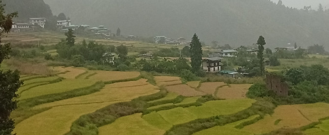 בהוטן, קרמה נמגיי, Mercury Bhutan Travels מתוך הטיפ של moshe1990 - למטייל