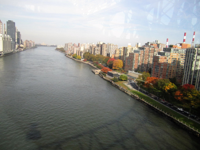 3649d1ad73435a01823755e374e9a69b.JPG?l=6