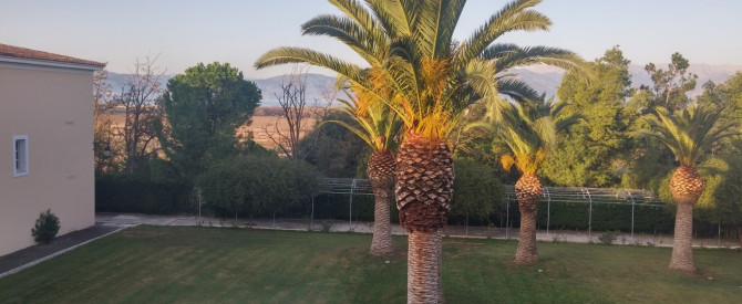 מלון עמליה נפפליון מתוך הטיפ של Ilan_3333463 - למטייל
