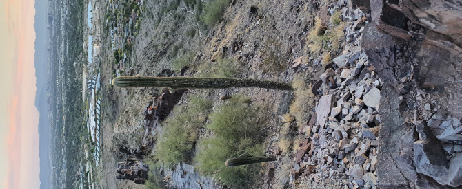 Piestewa Peak Trailhead מתוך הטיפ של Naftali - למטייל