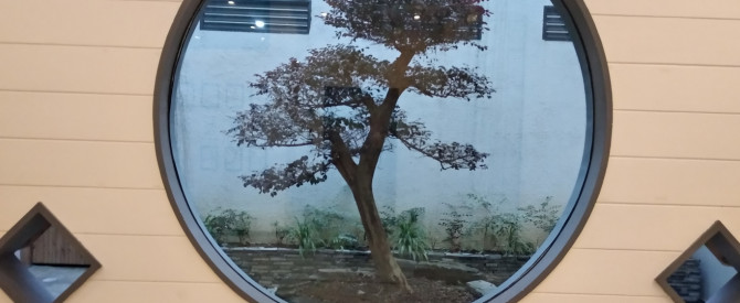 יאנגשואו מתוך הטיפ של המשוררת - למטייל
