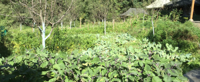 מקום נהדר בנאגר (NAGGAR) מתוך הטיפ של עמוס וי - למטייל