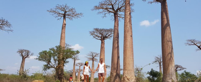 עמי בורג Africa4U ייעוץ ותכנון טיול לאפריקה מתוך הטיפ של Naama_3403840 - למטייל