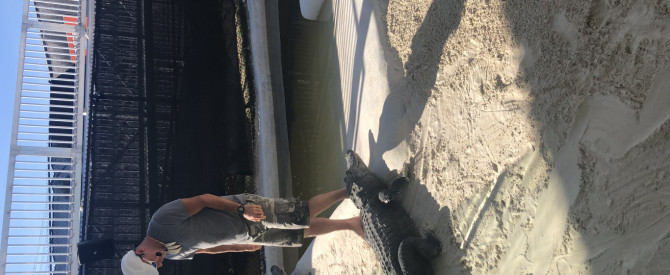 ווטנ'ס אברגליידס סיורי רחפת מתוך הטיפ של אורי_3964915 - למטייל