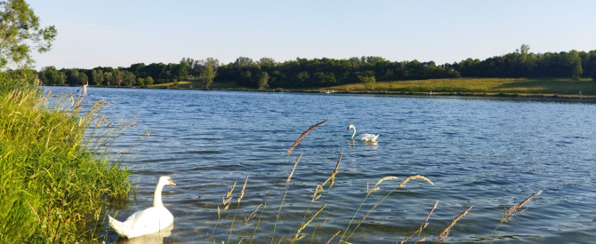 FKK Donauinsel Lobau מתוך הטיפ של Vadim3238398 - למטייל