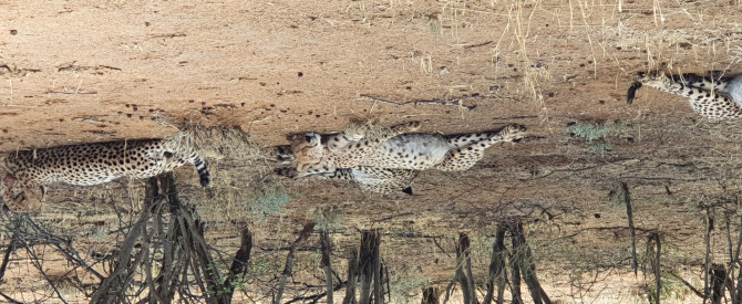 Erindi Private Game Reserve מתוך הטיפ של אבי אדם - למטייל