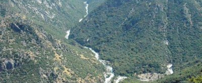 תמונה מייצגת עבור הפוסט: הפארקים קינגס וסקויה ולאס וגאס.