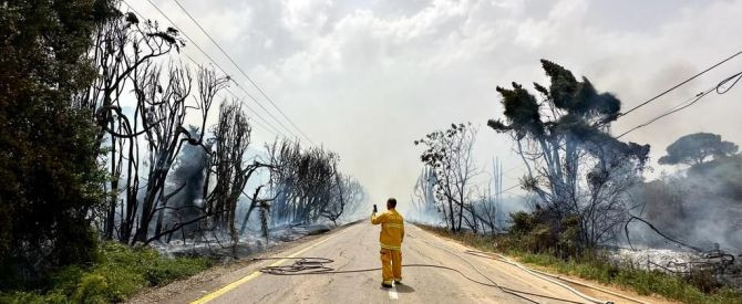 בעקבות גל שריפות: בקק"ל מבקשים להימנע מהגעה ליערות הבאים