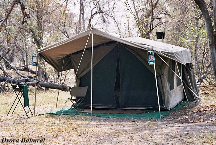 https://www.lametayel.co.il/limages/5de4863c1322db09b82ada235840cd01.jpg?l=670x670&m=670x670&s=670x670&type=r?&size=1200x1200