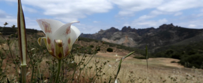 Pinnacles National Park - הפארק הלאומי פינאקלס