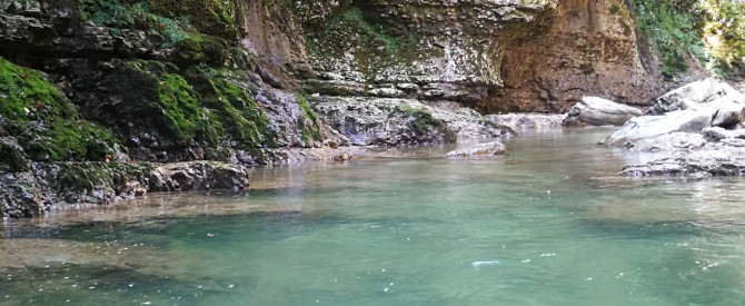 המדריך גיאורגי גיאורגיה מתוך הטיפ של נופרית - למטייל