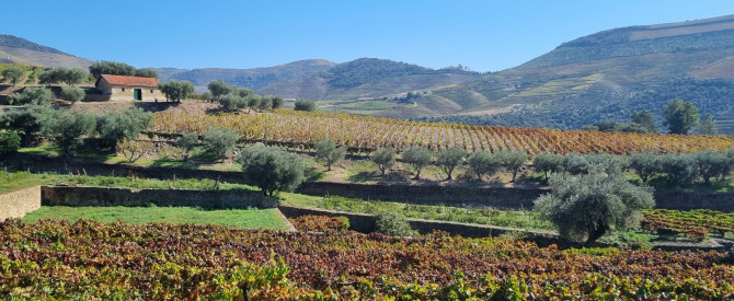 Quinta da Roêda | Croft Port‏ מתוך הטיפ של hasap - למטייל