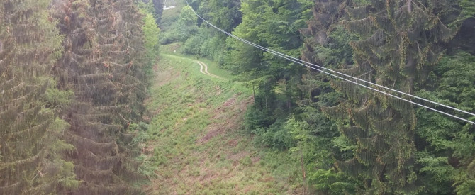 תמונה מייצגת עבור הפוסט: מעל צמרות העצים  A spectacular mountain  view