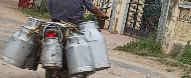 קאפיל יאדב (מוגלי) נהג פרטי מתוך הטיפ של גדי אזולאי - למטייל