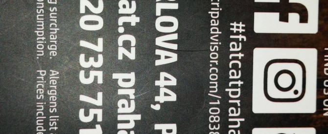מסעדת החתול השמן