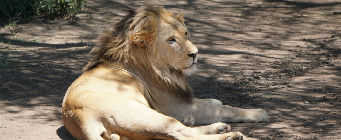 African Reflection Tours מתוך הטיפ של אלעד_4138859 - למטייל