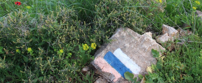 תמונה ראשית עבור: שביל ישראל – יום 11 - מהתבור למשהד - זקנים חסרי מנוח 2017