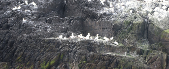 Skellig Michael Voyage מתוך הטיפ של אלון והחברים - למטייל