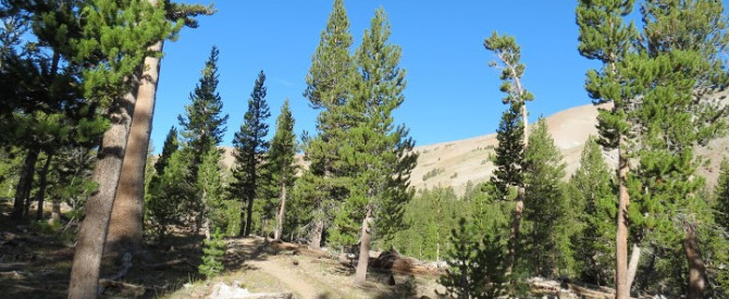 תמונה מייצגת עבור הפוסט: PCT - Tahoe to Yosemite - יום 08