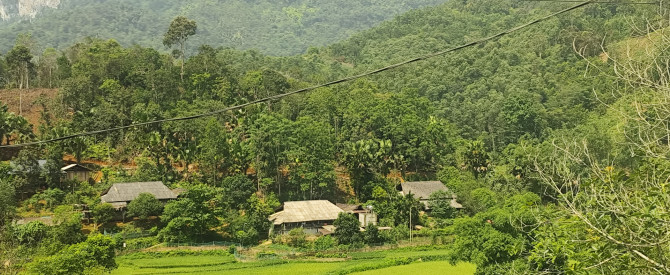 Mr Hung Ha Giang tourism. מתוך הטיפ של Natan_3668685 - למטייל