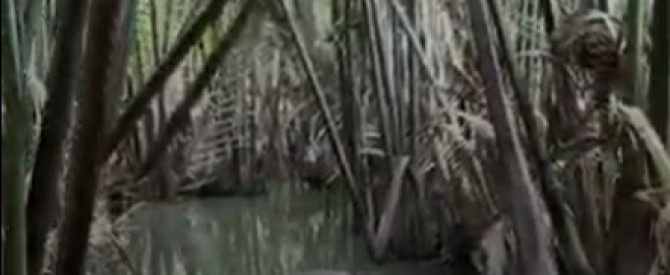 אסיאטיקה טראוול מתוך הטיפ של Avi_3505073 - למטייל