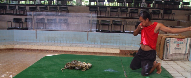 נחש אוכל תאילנדי Snake eating a Thai Man змея ثعبان 
