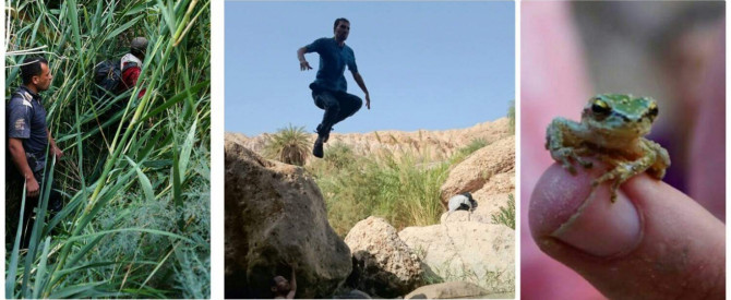 אמין עלי מתוך הטיפ של Hi Jordan - למטייל
