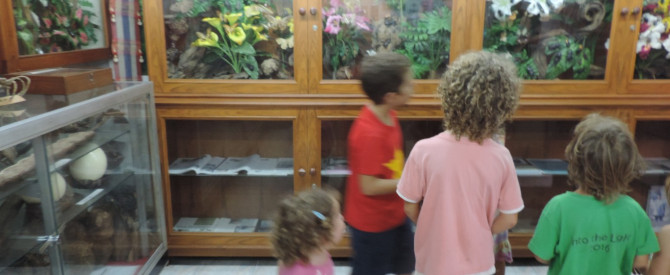 מוזיאון לזואולוגיה בצ'יאנג מאי