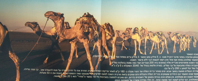 תמונה מייצגת עבור הפוסט: דת ומדבר