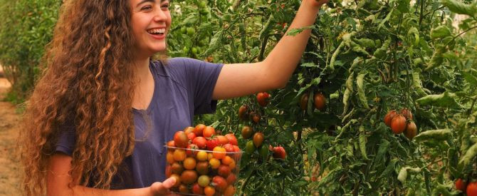 אוכלים, מטיילים ומתאהבים במדבר: פסטיבל משקים פתוחים חוזר ובגדול!