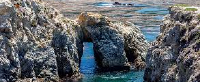 תמונה מייצגת עבור הפוסט: פארק Point Lobos פנינה נופית בקליפורניה בקרבת דרך מספר 1 