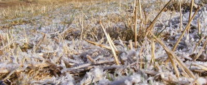 תמונה מייצגת עבור הפוסט: חלק שתיים עשרה - סיבוב שני בקוסקו ורכס האזנגטה - לי זה לא יקרה