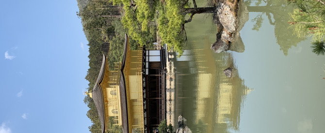 המדריכה ד"ר שירי ליבר מילוא מתוך הטיפ של Tamar_3769132 - למטייל
