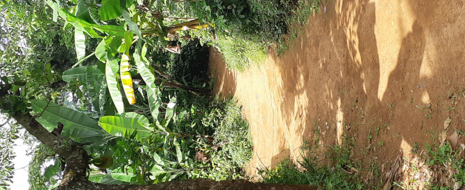 Oclaa Adventures Tanzania
