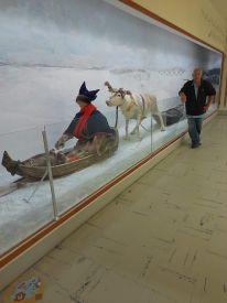 The Arctic University Museum of Norway מתוך הטיפ של קליינר - למטייל