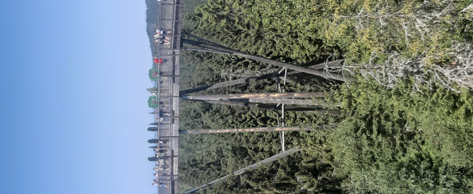 Walkway canopy Bachledka מתוך הטיפ של Uri_1710 - למטייל