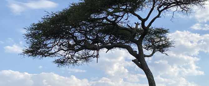 עמי בורג Africa4u טיול לאפריקה בהתאמה אישית מתוך הטיפ של Lama Abu Shah_4164686 - למטייל